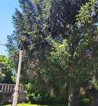 Pensión Nigrán Casa de hóspedes Nigrán