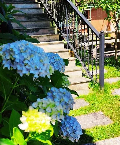 Pension Nigran Guest house