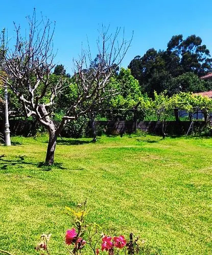 게스트하우스 Pension Nigran *