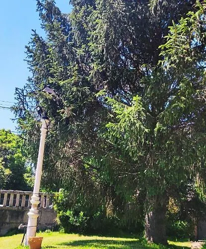 Pension Nigran Guest house Nigran