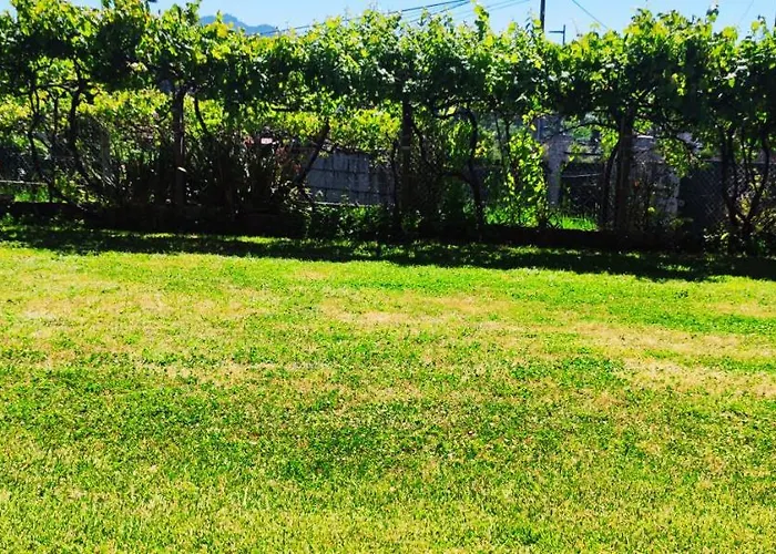 게스트하우스 Pension Nigran *